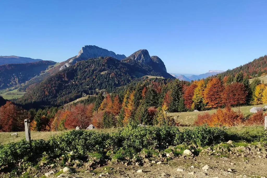 Appartement Centre Ville Avec Parking Gratuit Chambéry